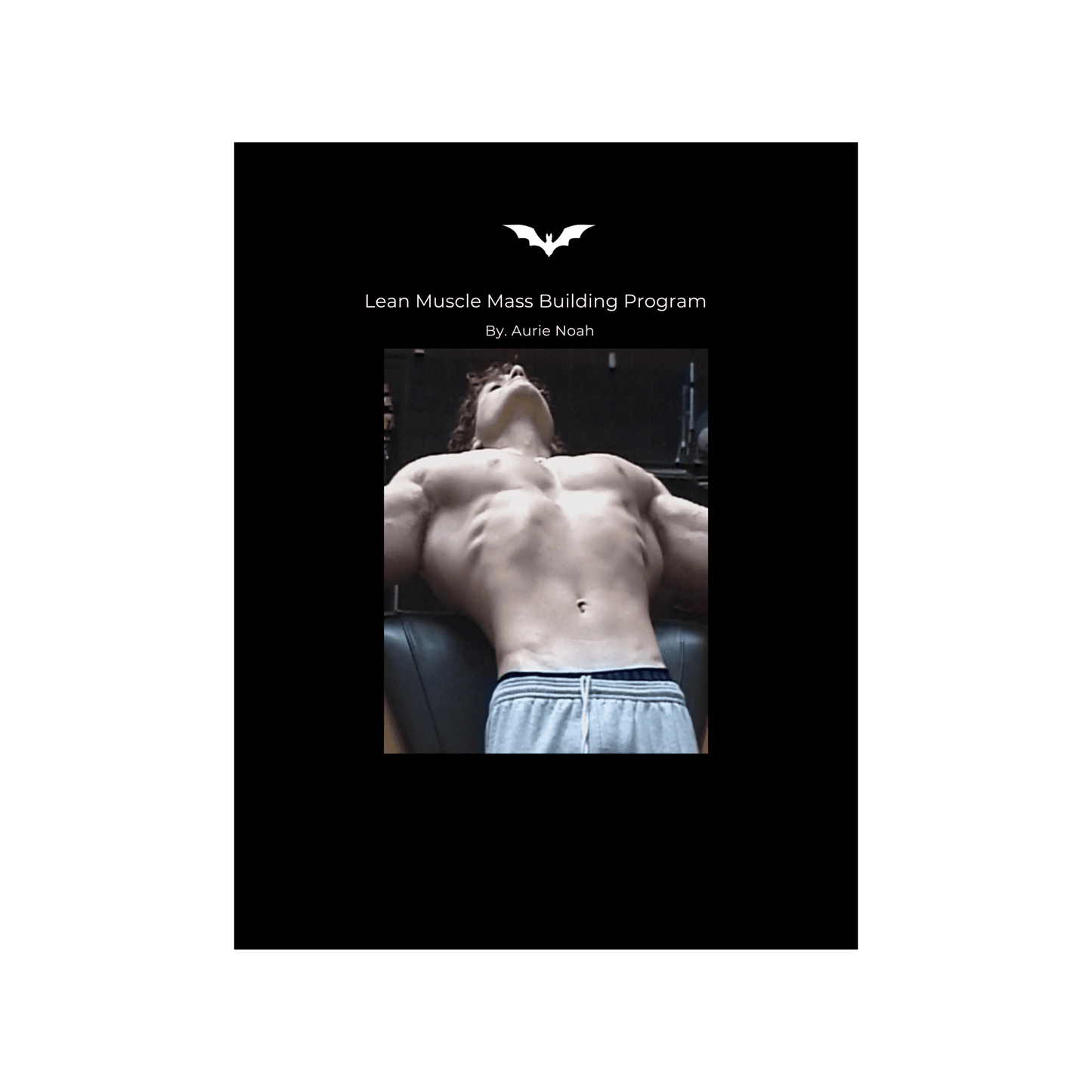 Aurie Noah Workout Program